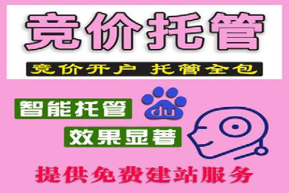 sem百度竞价广告投放策略的五大成功案例